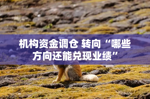机构资金调仓 转向“哪些方向还能兑现业绩”