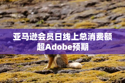 亚马逊会员日线上总消费额超Adobe预期