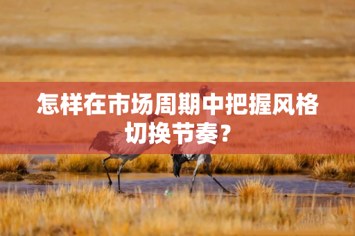 怎样在市场周期中把握风格切换节奏？