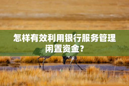 怎样有效利用银行服务管理闲置资金？