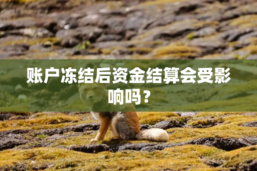 账户冻结后资金结算会受影响吗？