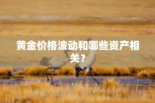 黄金价格波动和哪些资产相关？