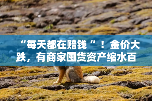 “每天都在赔钱 ”！金价大跌，有商家囤货资产缩水百万，“跌掉一辆迈巴赫”