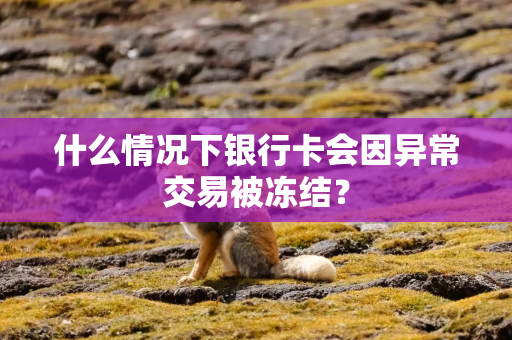 什么情况下银行卡会因异常交易被冻结？