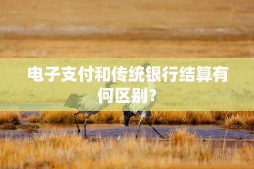 电子支付和传统银行结算有何区别？
