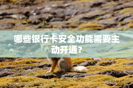 哪些银行卡安全功能需要主动开通？