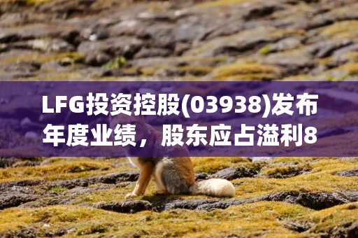 LFG投资控股(03938)发布年度业绩，股东应占溢利805.9万港元 同比扭亏为盈