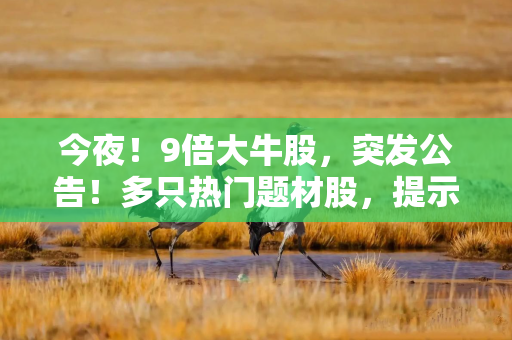 今夜！9倍大牛股，突发公告！多只热门题材股，提示风险