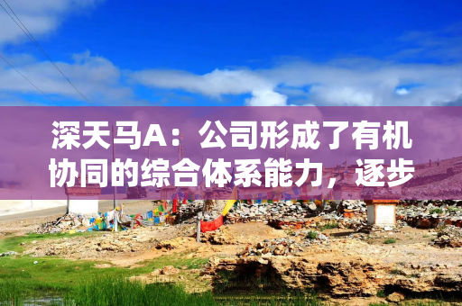 深天马A：公司形成了有机协同的综合体系能力，逐步构建起了业务护城河，具备强劲头部竞争优势