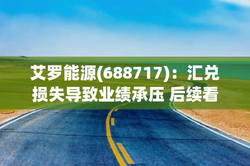艾罗能源(688717)：汇兑损失导致业绩承压 后续看工商储放量