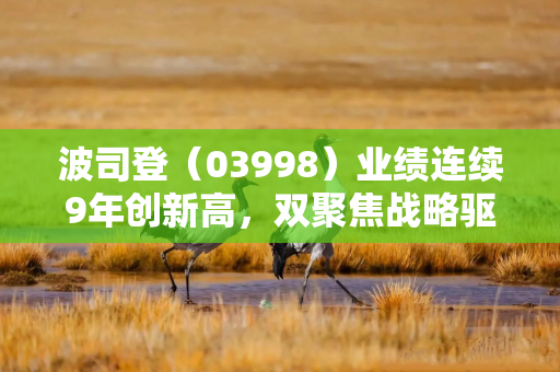 波司登（03998）业绩连续9年创新高，双聚焦战略驱动高质量增长