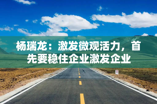 杨瑞龙：激发微观活力，首先要稳住企业激发企业