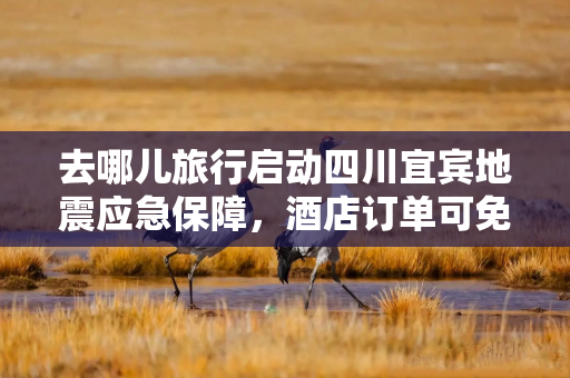 去哪儿旅行启动四川宜宾地震应急保障，酒店订单可免费取消