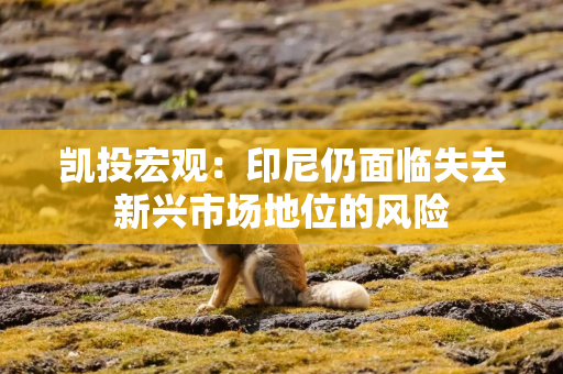 凯投宏观：印尼仍面临失去新兴市场地位的风险