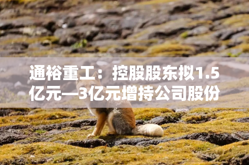 通裕重工：控股股东拟1.5亿元—3亿元增持公司股份