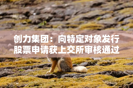 创力集团：向特定对象发行股票申请获上交所审核通过