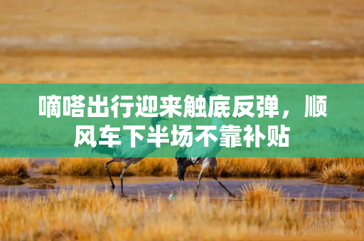 嘀嗒出行迎来触底反弹，顺风车下半场不靠补贴