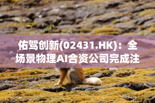 佑驾创新(02431.HK)：全场景物理AI合资公司完成注册设立