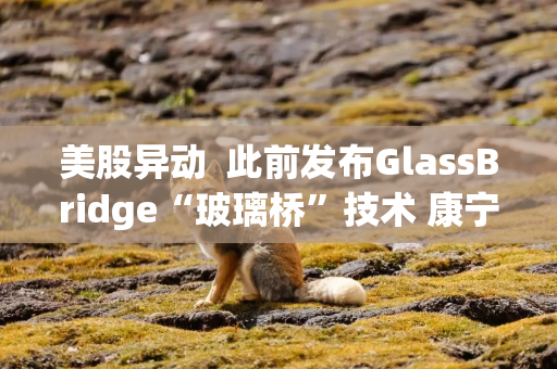 美股异动  此前发布GlassBridge“玻璃桥”技术 康宁(GLW.US)早盘涨超8%