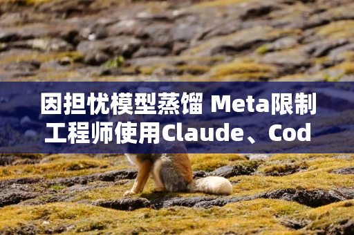 因担忧模型蒸馏 Meta限制工程师使用Claude、Codex