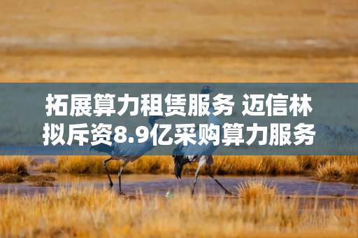 拓展算力租赁服务 迈信林拟斥资8.9亿采购算力服务器