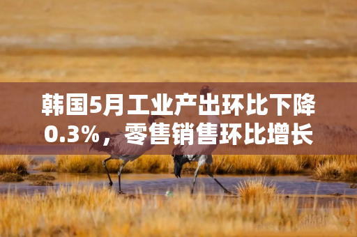 韩国5月工业产出环比下降0.3%，零售销售环比增长0.1%