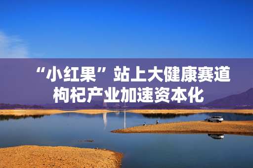 “小红果”站上大健康赛道 枸杞产业加速资本化