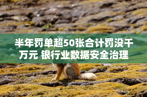 半年罚单超50张合计罚没千万元 银行业数据安全治理加速转向“主动防御” 半年罚单超50张合计罚没千万元 银行业数据安全治理加速转向“主动防御”