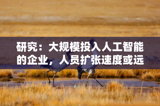 研究:大规模投入人工智能的企业,人员扩张速度或远超同行 研究:大规模投入人工智能的企业,人员扩张速度或远超同行