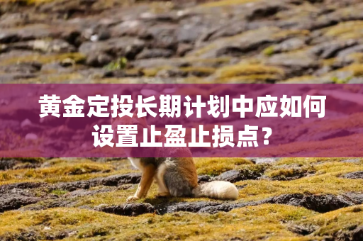 黄金定投长期计划中应如何设置止盈止损点？