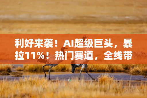 利好来袭!AI超级巨头,暴拉11%!热门赛道,全线带飞 利好来袭!AI超级巨头,暴拉11%!热门赛道,全线带飞