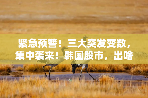 紧急预警！三大突发变数，集中袭来！韩国股市，出啥事儿了？
