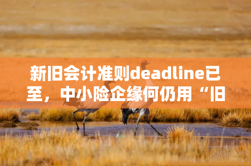 新旧会计准则deadline已至，中小险企缘何仍用“旧账本”？