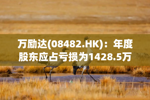万励达(08482.HK):年度股东应占亏损为1428.5万港元 万励达(08482.HK):年度股东应占亏损为1428.5万港元