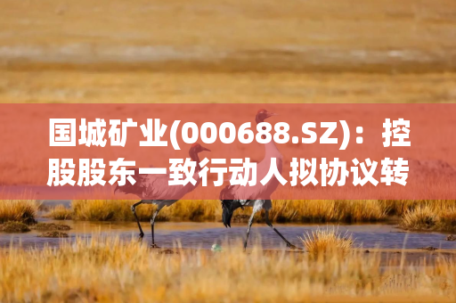 国城矿业(000688.SZ)：控股股东一致行动人拟协议转让5%股份引入吉利科技集团作为产业投资者