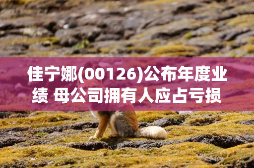 佳宁娜(00126)公布年度业绩 母公司拥有人应占亏损3028.3万港元 同比减少77.6%