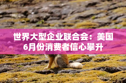 世界大型企业联合会：美国6月份消费者信心攀升