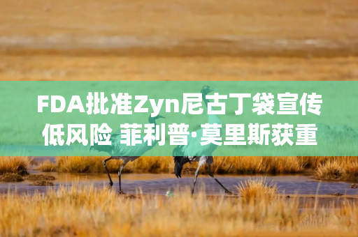 FDA批准Zyn尼古丁袋宣传低风险 菲利普·莫里斯获重大营销胜利