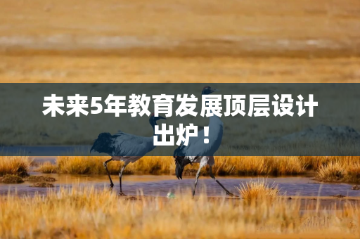 未来5年教育发展顶层设计出炉! 未来5年教育发展顶层设计出炉!
