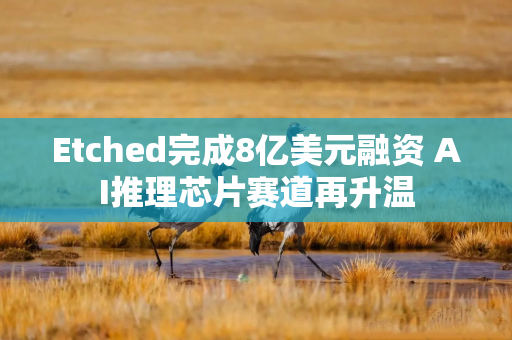 Etched完成8亿美元融资 AI推理芯片赛道再升温