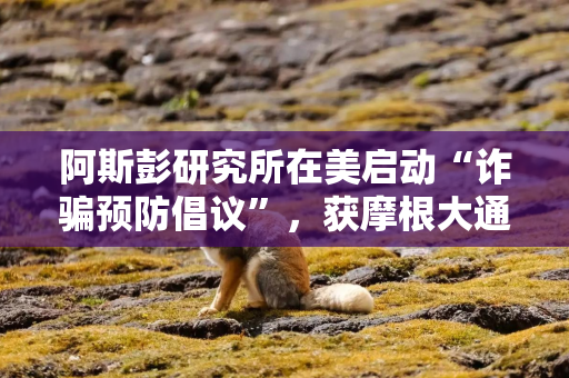 阿斯彭研究所在美启动“诈骗预防倡议”，获摩根大通与亚马逊支持