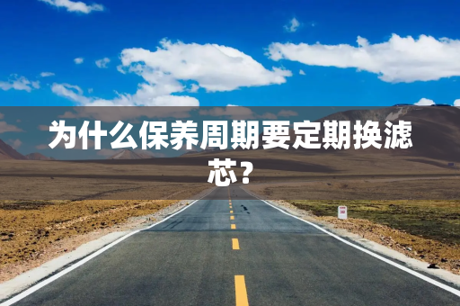 为什么保养周期要定期换滤芯？