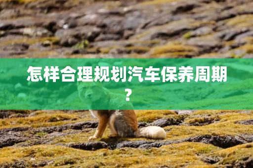 怎样合理规划汽车保养周期？
