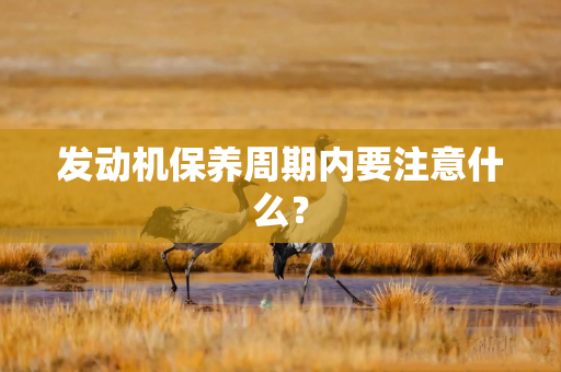发动机保养周期内要注意什么？