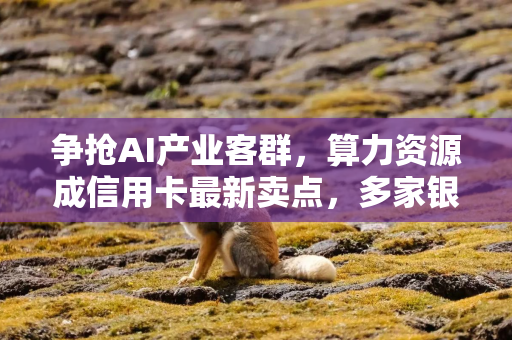 争抢AI产业客群，算力资源成信用卡最新卖点，多家银行重构权益体系寻求业务突破