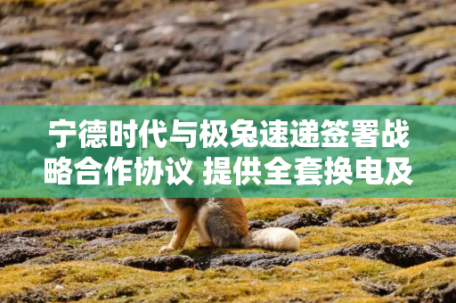 宁德时代与极兔速递签署战略合作协议 提供全套换电及运维服务