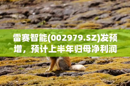 雷赛智能(002979.SZ)发预增，预计上半年归母净利润同比增长55%-65%