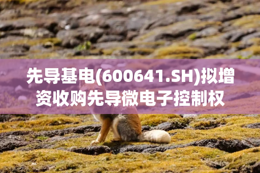 先导基电(600641.SH)拟增资收购先导微电子控制权