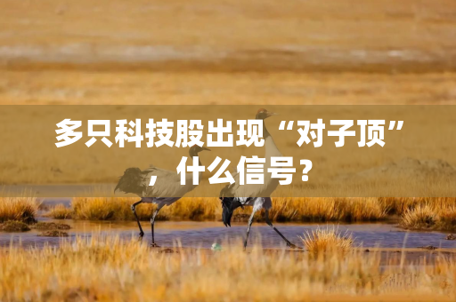 多只科技股出现“对子顶”，什么信号？