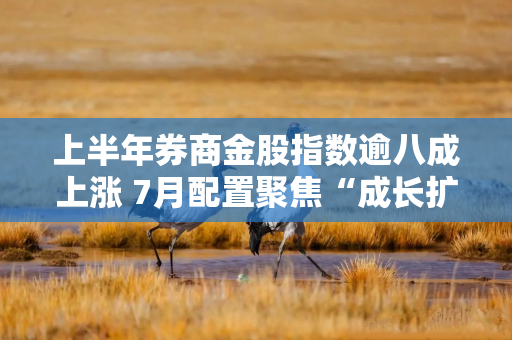 上半年券商金股指数逾八成上涨 7月配置聚焦“成长扩散+大盘价值”
